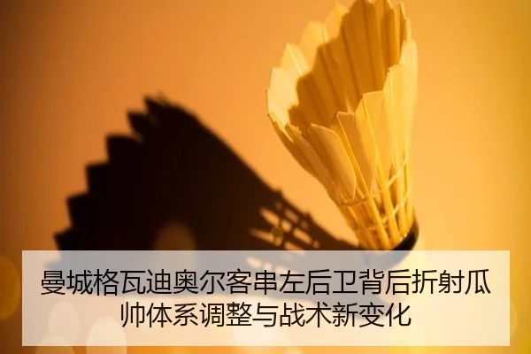 曼城格瓦迪奥尔客串左后卫背后折射瓜帅体系调整与战术新变化